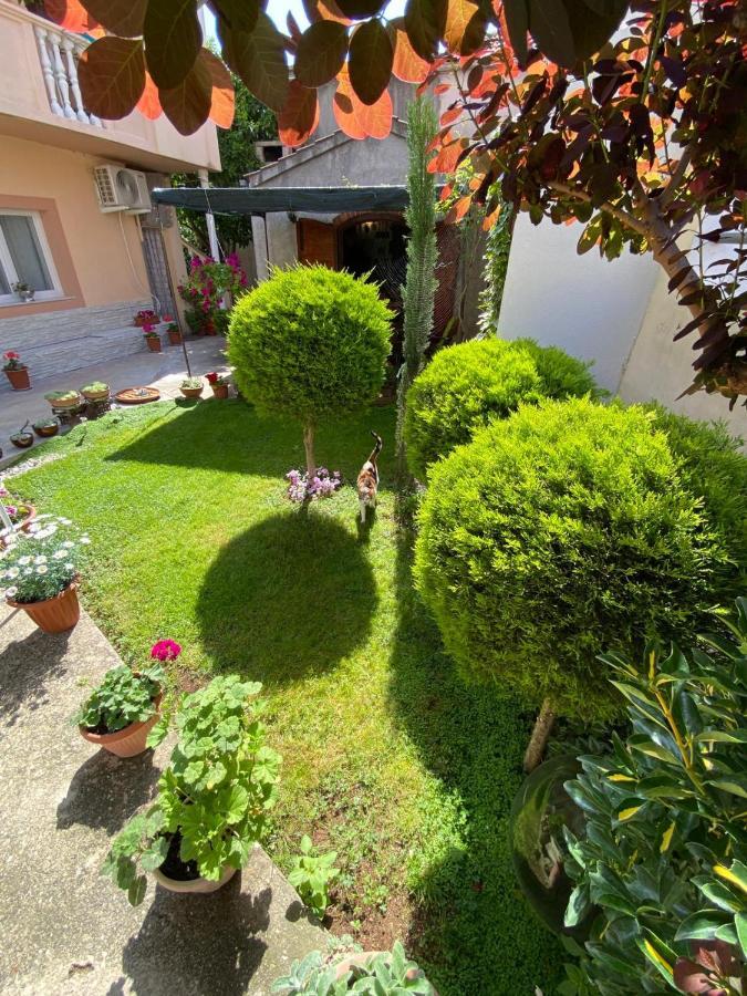 Apartment Dora زادار المظهر الخارجي الصورة